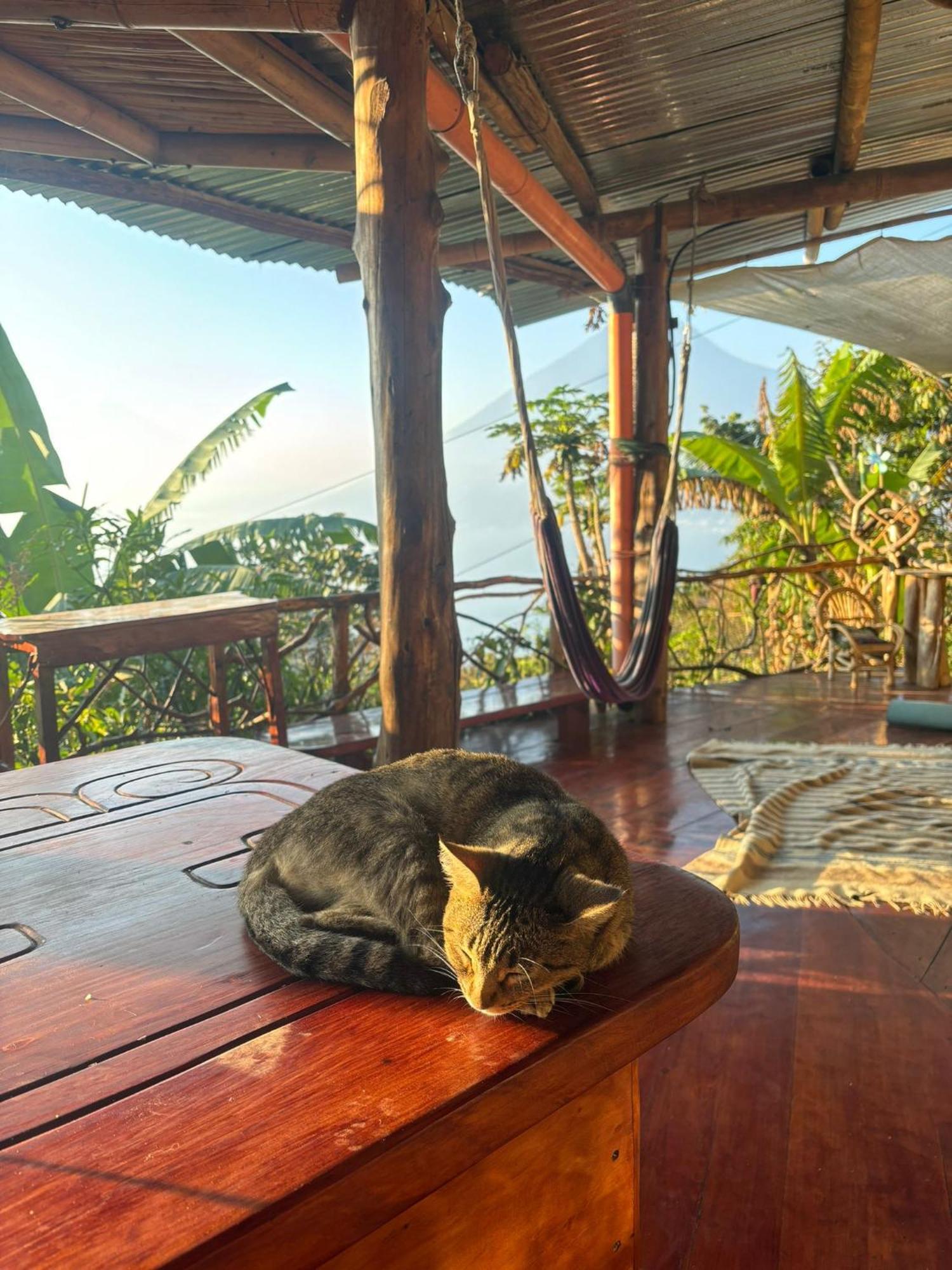 Earthship Atitlan Pensionat San Marcos La Laguna Exteriör bild